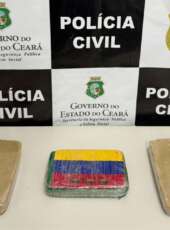 Polícia Civil captura em flagrante suspeito de tráfico interestadual com mais de três quilos de drogas em Jardim