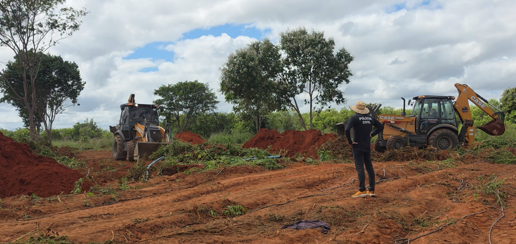 Governador Elmano de Freitas vistoria destruição de drogas encontradas em fazenda de Acopiara