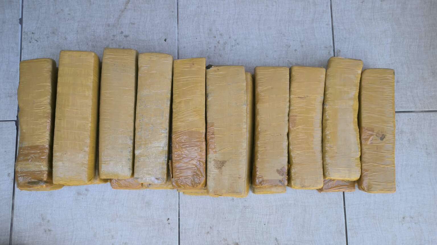 Durante ação conjunta em Fortaleza, PCCE e Receita Federal apreendem mais de 24 kg de maconha